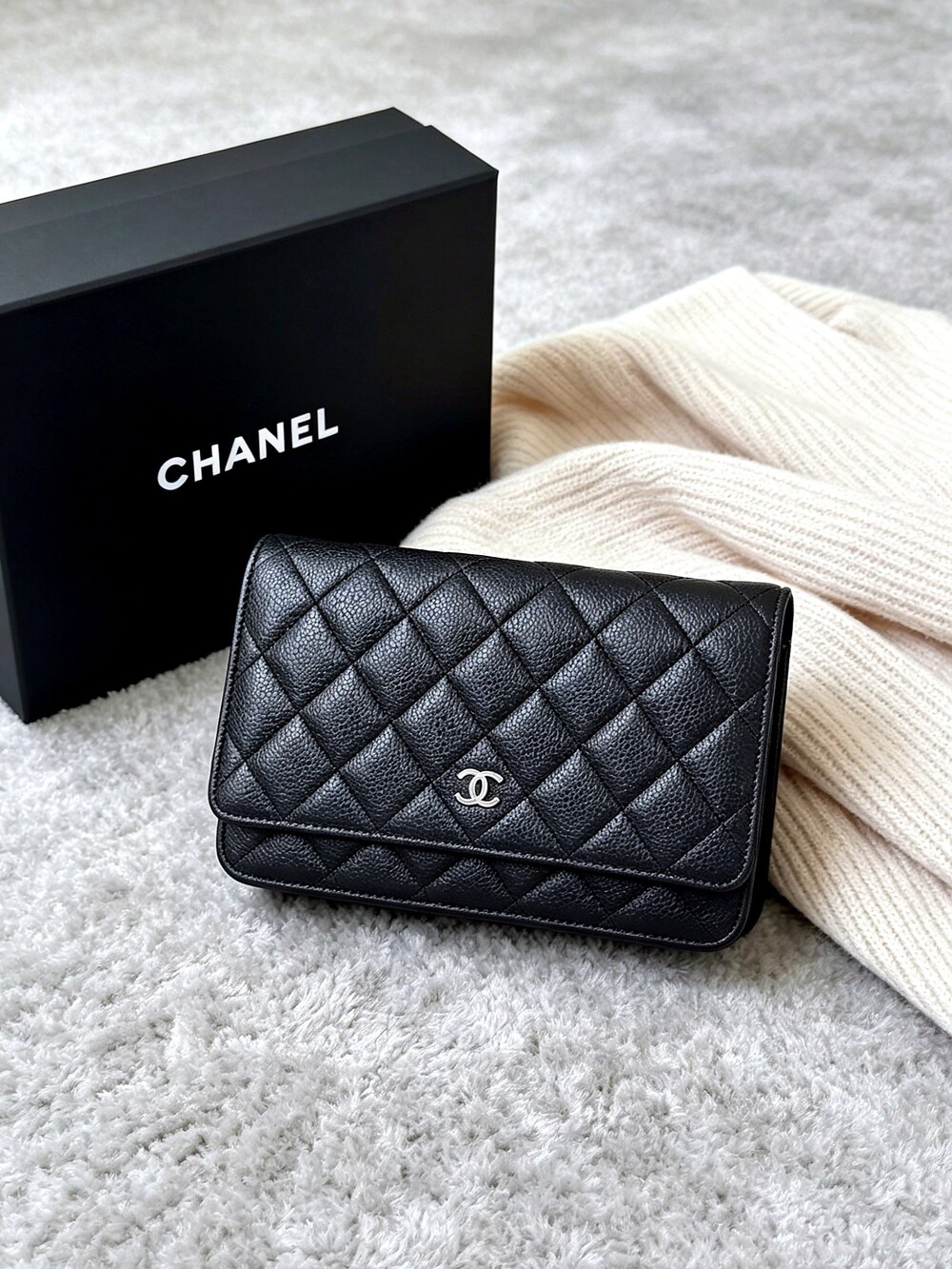 Chanel Wallet on Chain Quilted Bag